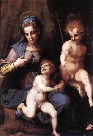 Andrea del Sarto Johannes Norge oil painting art
